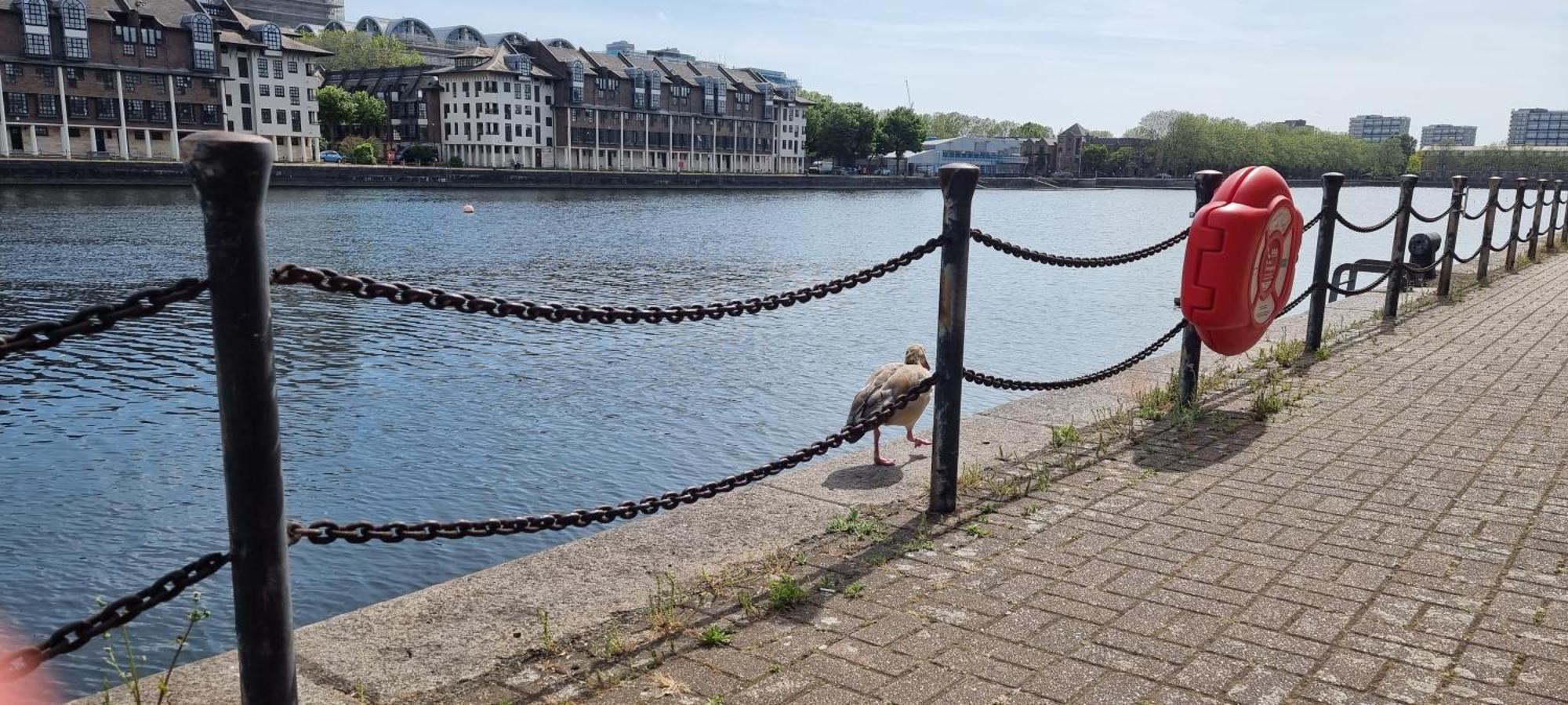 Riverside 3Br With Easy Transport 20Mins To City Centre London Eksteriør billede